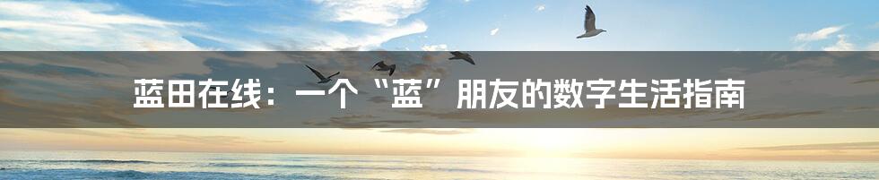 蓝田在线：一个“蓝”朋友的数字生活指南