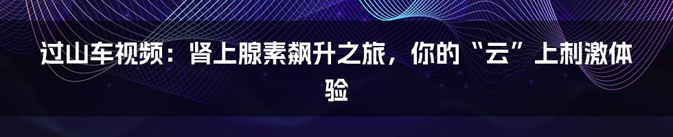 过山车视频：肾上腺素飙升之旅，你的“云”上刺激体验