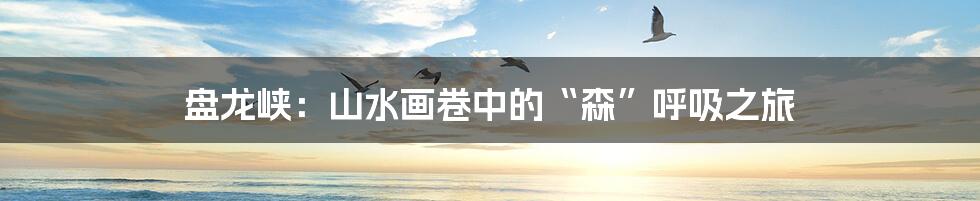 盘龙峡：山水画卷中的“森”呼吸之旅