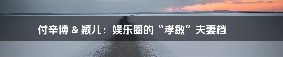 付辛博 & 颖儿：娱乐圈的“孝敏”夫妻档