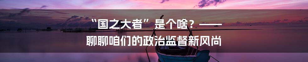 “国之大者”是个啥？—— 聊聊咱们的政治监督新风尚