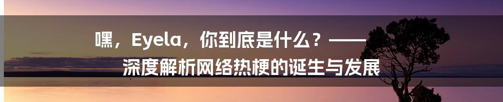 嘿，Eyela，你到底是什么？—— 深度解析网络热梗的诞生与发展