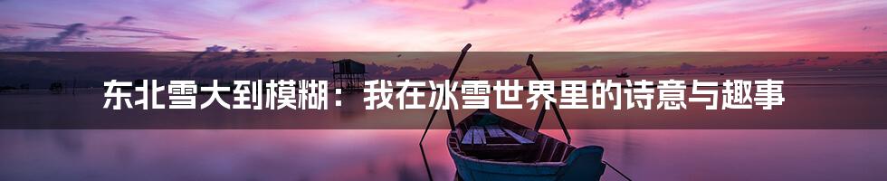 东北雪大到模糊：我在冰雪世界里的诗意与趣事