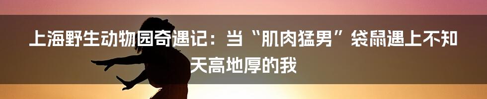 上海野生动物园奇遇记：当“肌肉猛男”袋鼠遇上不知天高地厚的我
