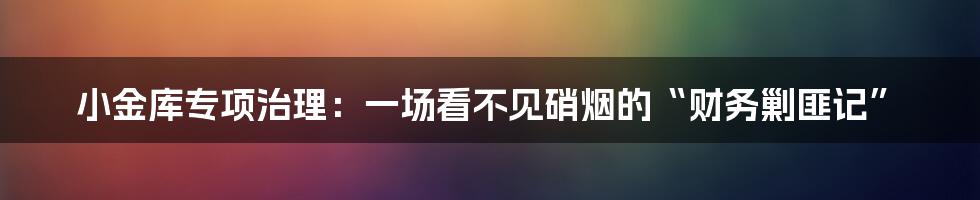 小金库专项治理：一场看不见硝烟的“财务剿匪记”
