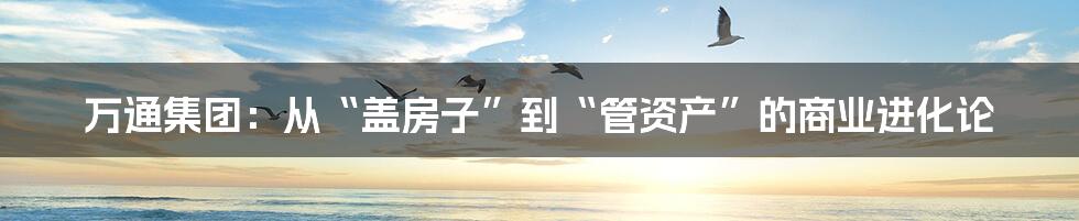 万通集团：从“盖房子”到“管资产”的商业进化论