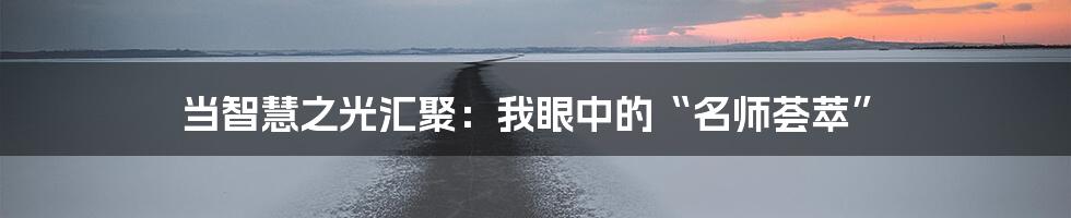 当智慧之光汇聚：我眼中的“名师荟萃”