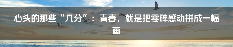心头的那些“几分”：青春，就是把零碎感动拼成一幅画
