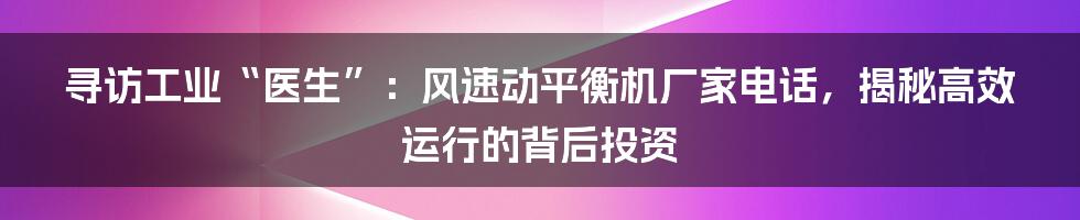 寻访工业“医生”：风速动平衡机厂家电话，揭秘高效运行的背后投资