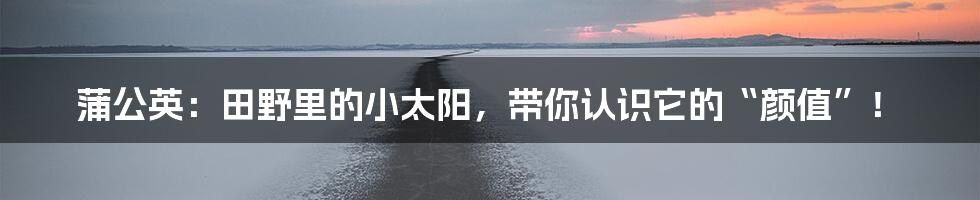 蒲公英：田野里的小太阳，带你认识它的“颜值”！