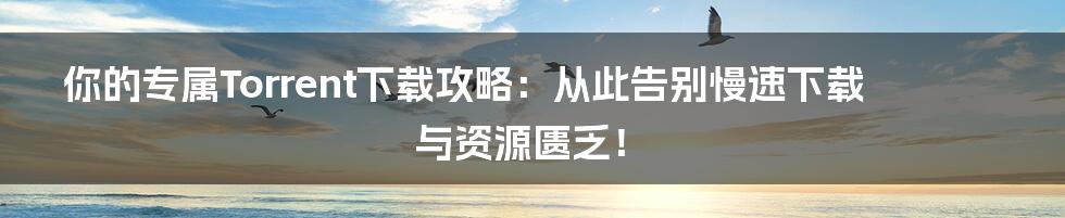 你的专属Torrent下载攻略：从此告别慢速下载与资源匮乏！