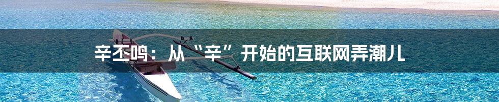 辛丕鸣：从“辛”开始的互联网弄潮儿