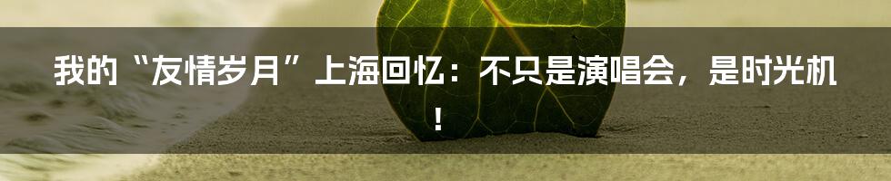 我的“友情岁月”上海回忆：不只是演唱会，是时光机！