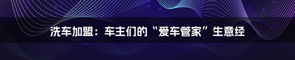 洗车加盟：车主们的“爱车管家”生意经