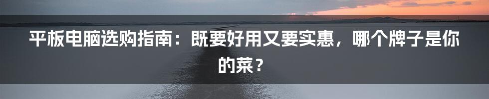 平板电脑选购指南：既要好用又要实惠，哪个牌子是你的菜？