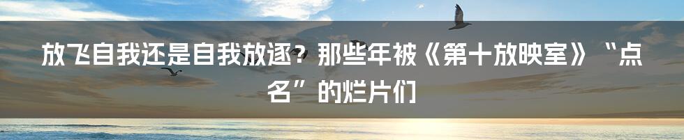 放飞自我还是自我放逐？那些年被《第十放映室》“点名”的烂片们