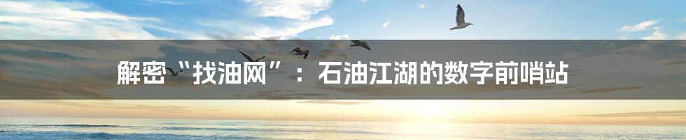 解密“找油网”：石油江湖的数字前哨站