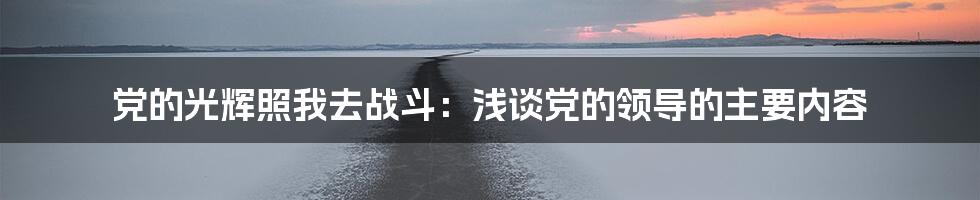 党的光辉照我去战斗：浅谈党的领导的主要内容
