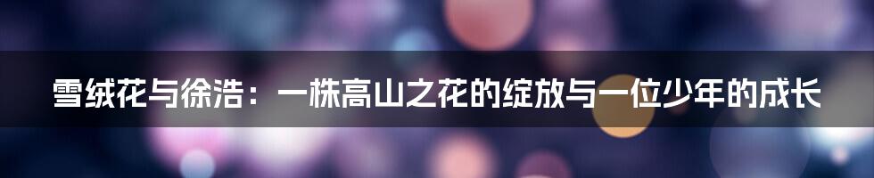 雪绒花与徐浩：一株高山之花的绽放与一位少年的成长