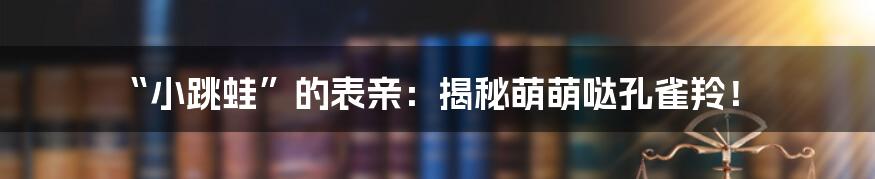 “小跳蛙”的表亲：揭秘萌萌哒孔雀羚！