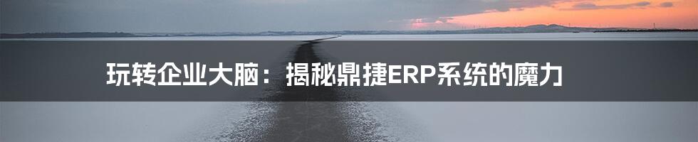 玩转企业大脑：揭秘鼎捷ERP系统的魔力