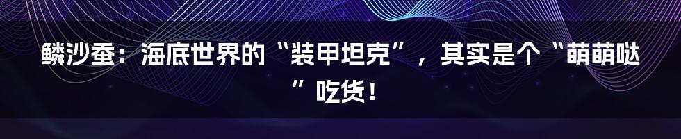 鳞沙蚕：海底世界的“装甲坦克”，其实是个“萌萌哒”吃货！