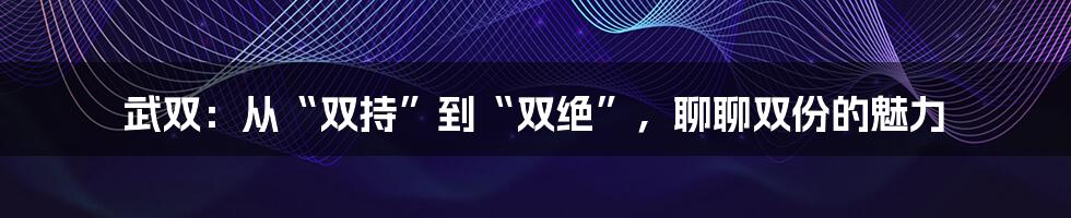 武双：从“双持”到“双绝”，聊聊双份的魅力