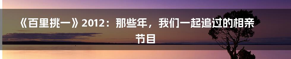 《百里挑一》2012：那些年，我们一起追过的相亲节目