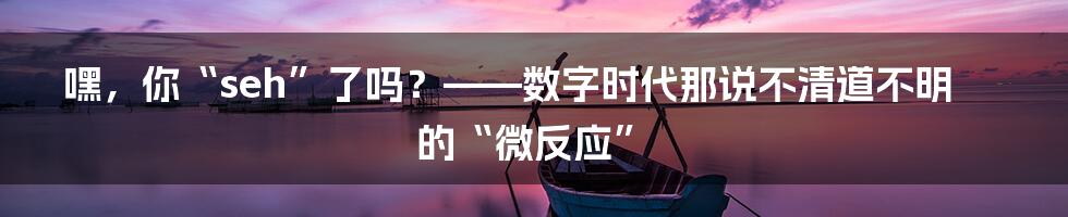 嘿，你“seh”了吗？——数字时代那说不清道不明的“微反应”