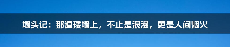 墙头记：那道矮墙上，不止是浪漫，更是人间烟火