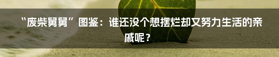 “废柴舅舅”图鉴：谁还没个想摆烂却又努力生活的亲戚呢？