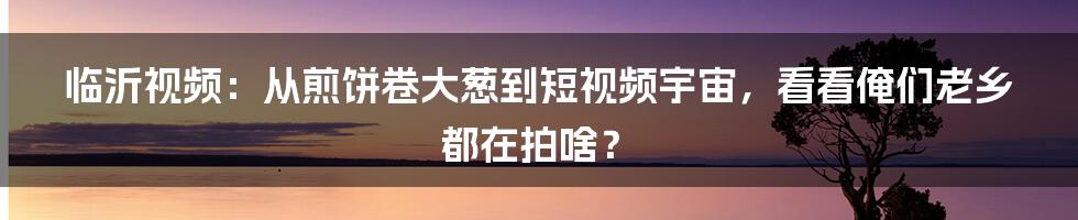 临沂视频：从煎饼卷大葱到短视频宇宙，看看俺们老乡都在拍啥？