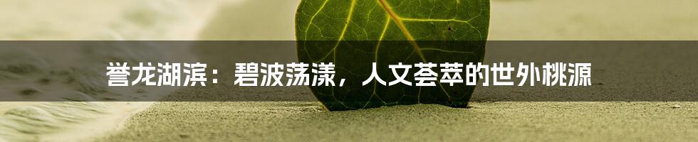 誉龙湖滨：碧波荡漾，人文荟萃的世外桃源