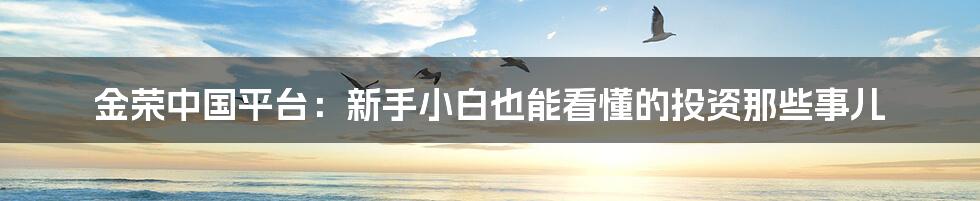 金荣中国平台：新手小白也能看懂的投资那些事儿