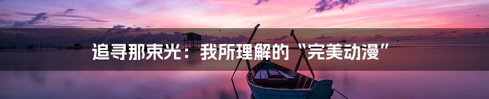 追寻那束光：我所理解的“完美动漫”