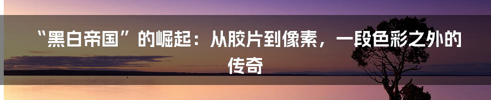 “黑白帝国”的崛起：从胶片到像素，一段色彩之外的传奇