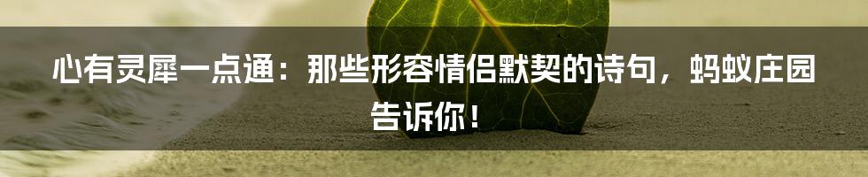 心有灵犀一点通：那些形容情侣默契的诗句，蚂蚁庄园告诉你！