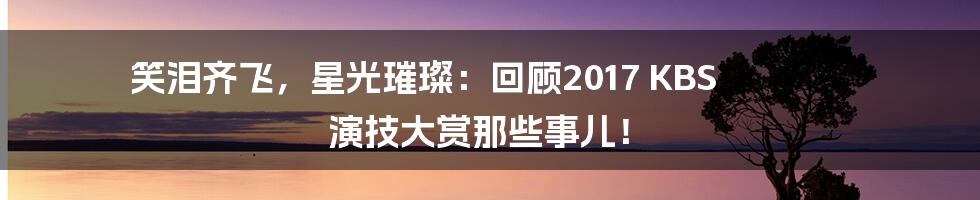 笑泪齐飞，星光璀璨：回顾2017 KBS 演技大赏那些事儿！