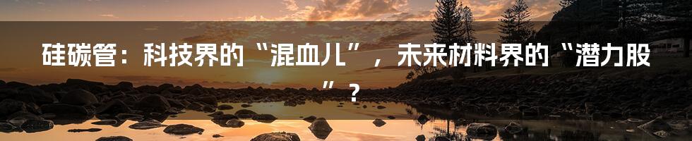 硅碳管：科技界的“混血儿”，未来材料界的“潜力股”？