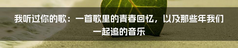 我听过你的歌：一首歌里的青春回忆，以及那些年我们一起追的音乐