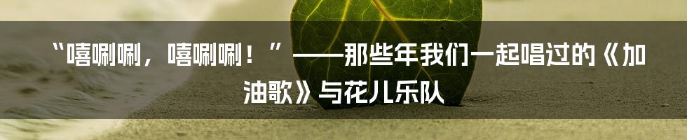 “嘻唰唰，嘻唰唰！”——那些年我们一起唱过的《加油歌》与花儿乐队