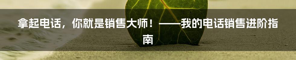 拿起电话，你就是销售大师！——我的电话销售进阶指南