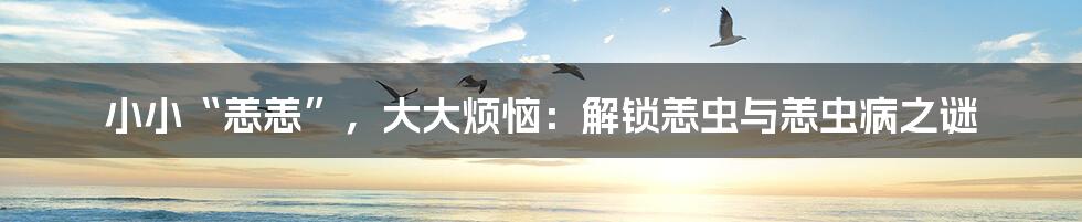 小小“恙恙”，大大烦恼：解锁恙虫与恙虫病之谜