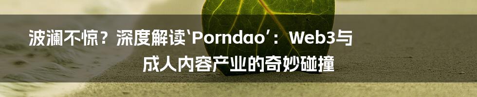 波澜不惊？深度解读‘Porndao’：Web3与成人内容产业的奇妙碰撞