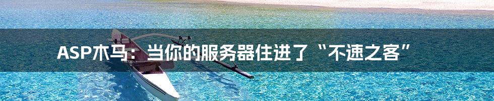 ASP木马：当你的服务器住进了“不速之客”