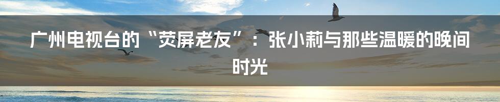 广州电视台的“荧屏老友”：张小莉与那些温暖的晚间时光