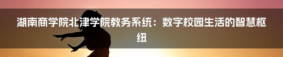 湖南商学院北津学院教务系统：数字校园生活的智慧枢纽