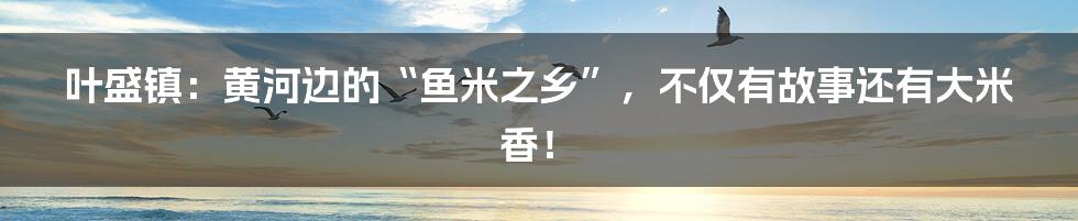 叶盛镇：黄河边的“鱼米之乡”，不仅有故事还有大米香！