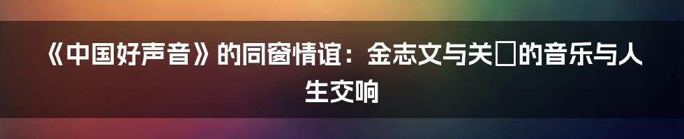 《中国好声音》的同窗情谊：金志文与关喆的音乐与人生交响