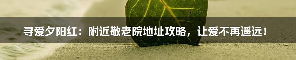 寻爱夕阳红：附近敬老院地址攻略，让爱不再遥远！